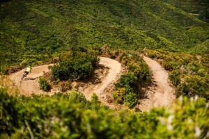 Mountain Biking in Wellington, New Zealand
